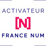 Logo Activateur France Num - Magical Potion, cabinet de consulting en transformation digitale